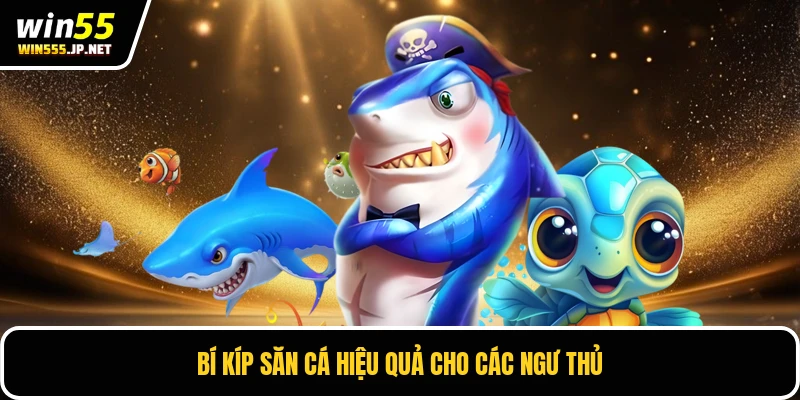 Bí kíp săn cá hiệu quả cho các ngư thủ