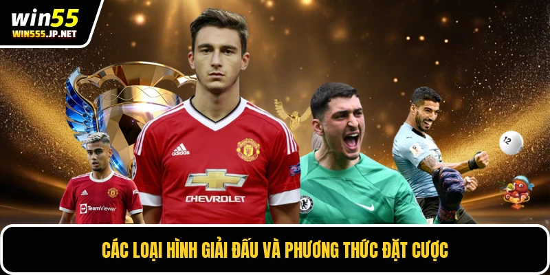 Các loại hình giải đấu và phương thức đặt cược