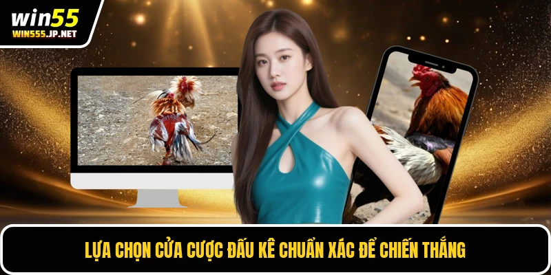 Lựa chọn cửa cược đấu kê chuẩn xác để chiến thắng