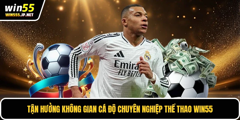 Tận hưởng không gian cá độ chuyên nghiệp thể thao Win55